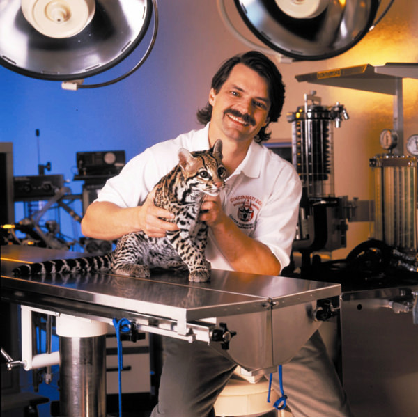 Dr. William Swanson with Sihil, an ocelot produced by frozen-thawed embryo transfer