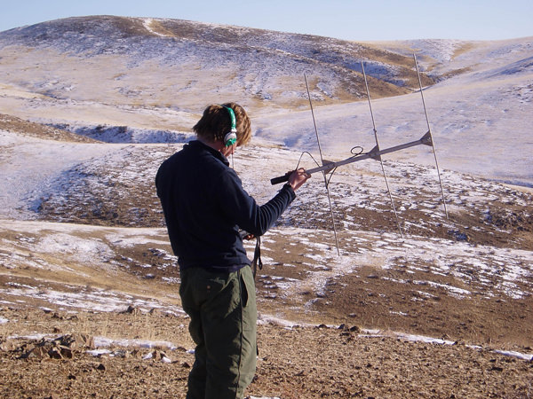 Radio-tracking Pallas' cats in Mongolia