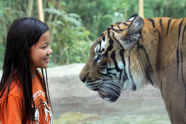 Girl and tiger